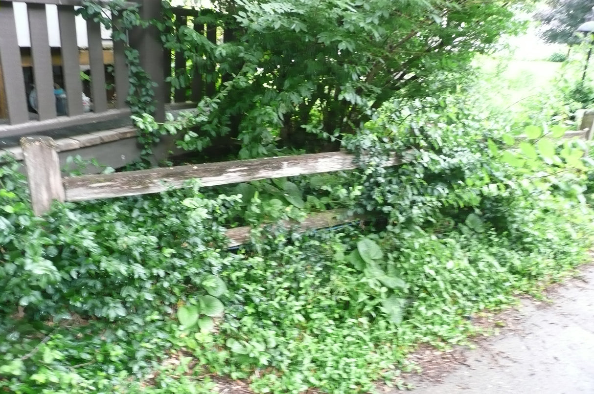 Split Rail Fence with Posts