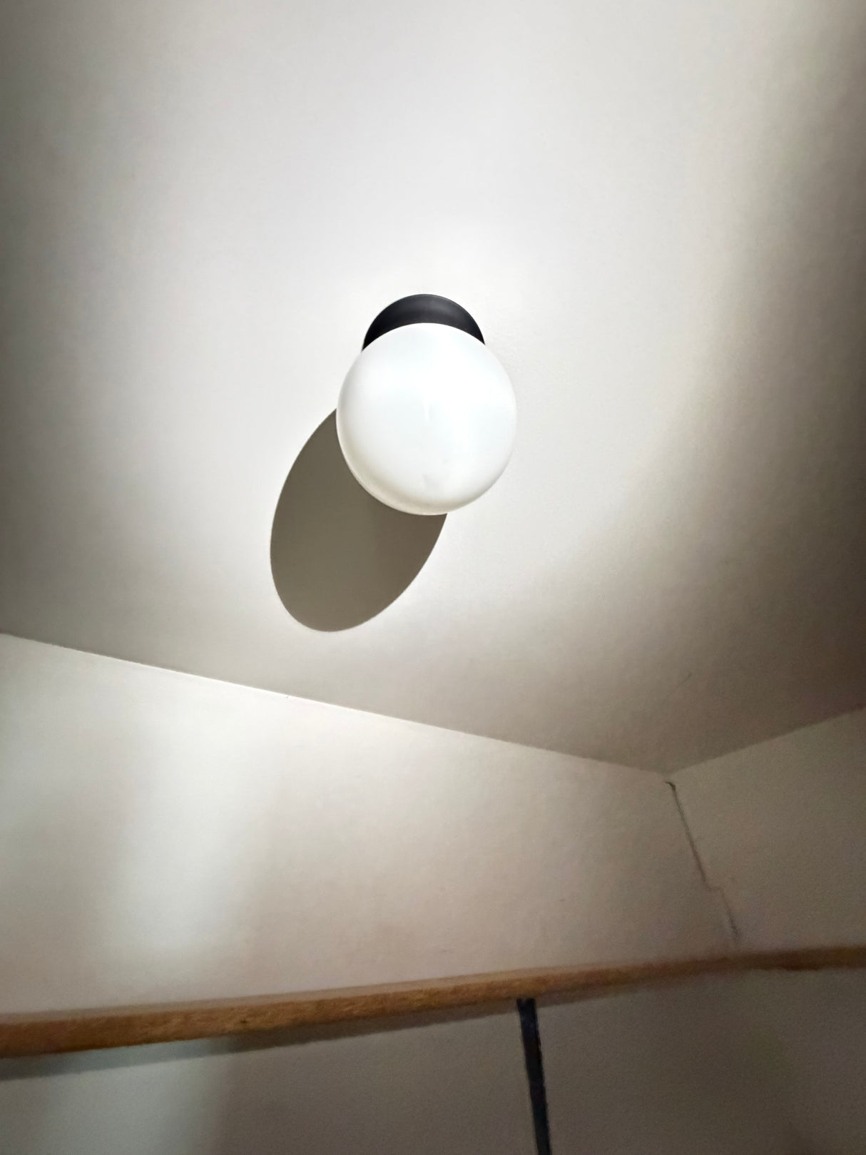 Globe Flush Mount Ceiling Light, Matte Black & White Glass