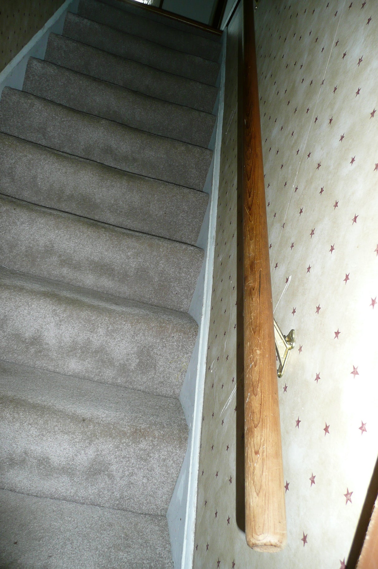 12' Hand Railing with Hardware