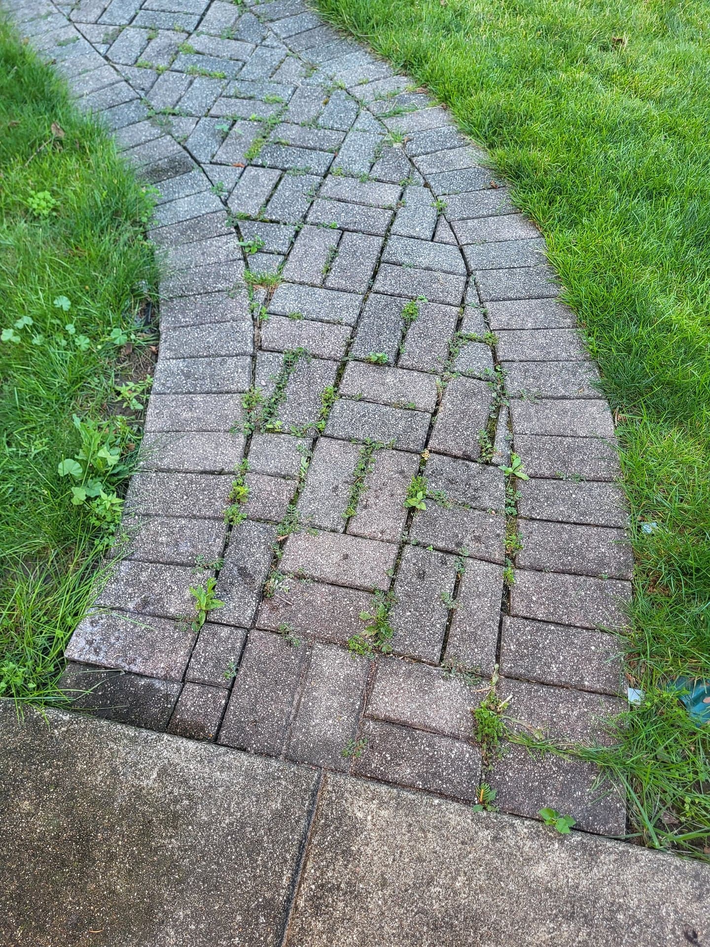 Reclaimed Concrete Walkway Pavers, ~75 sq ft, Gray Brick-Style
