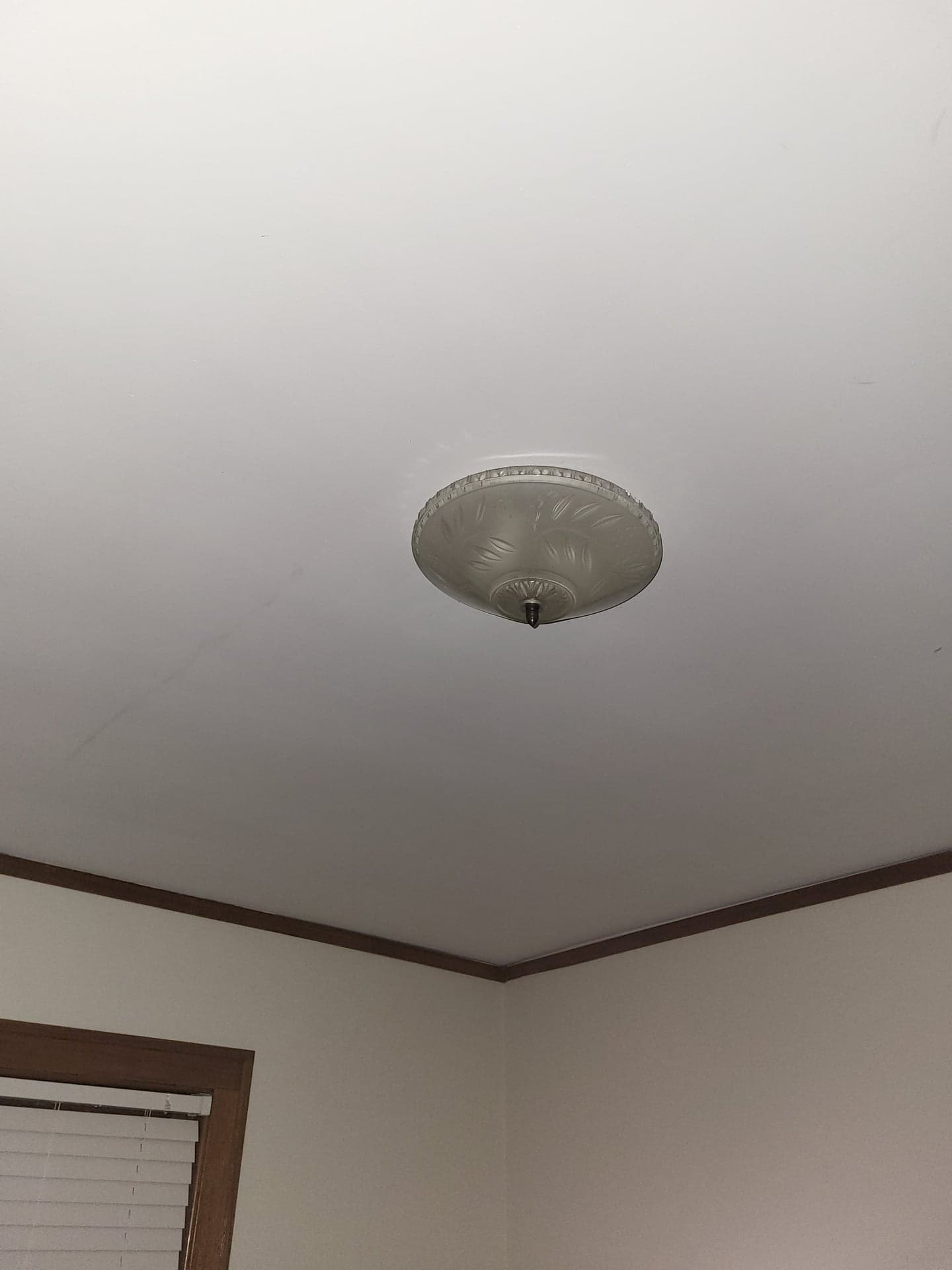 Vintage 1940s-60s Frosted Glass Flush Mount Ceiling Light, 11 in, Floral Etched