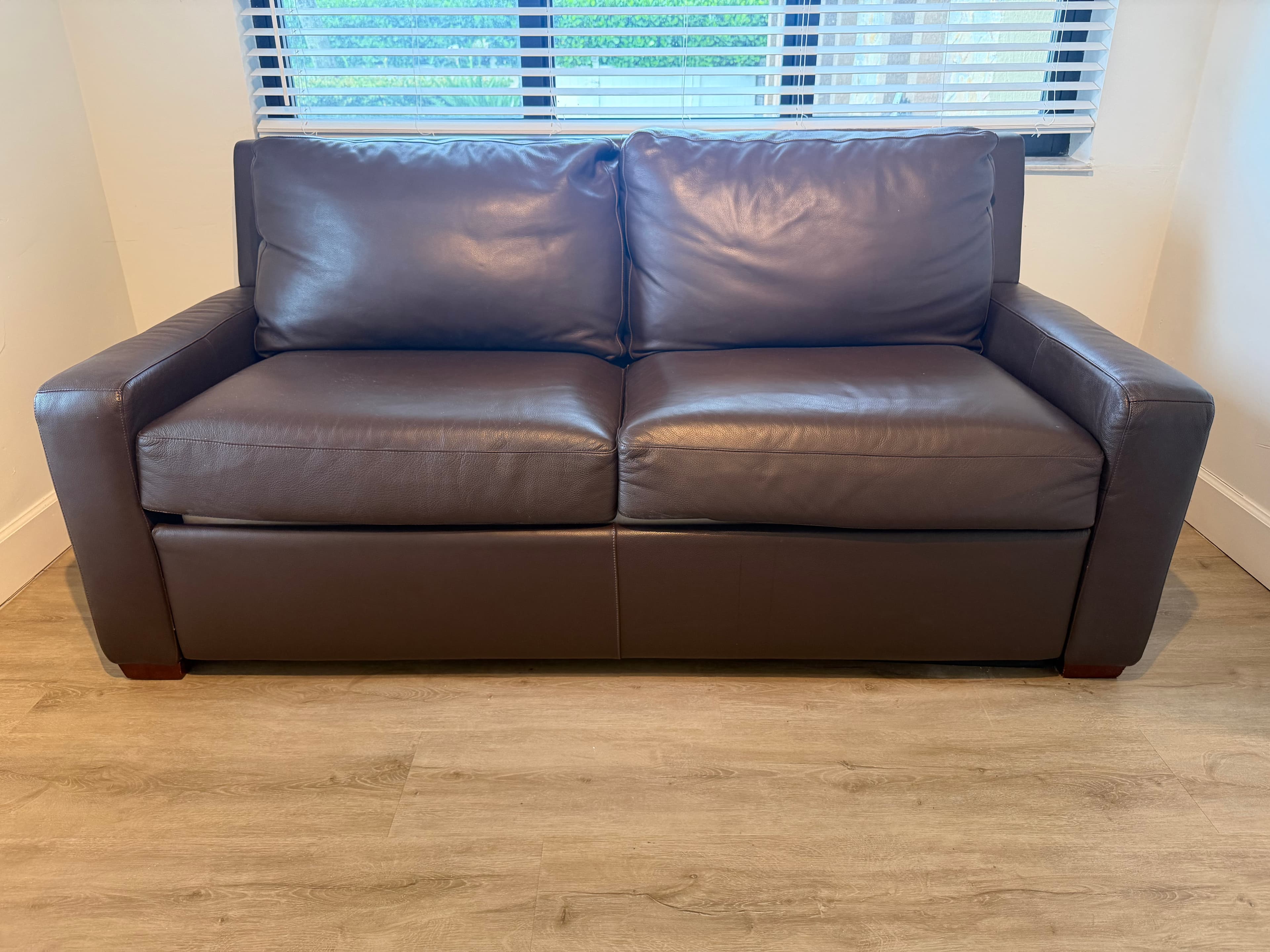 Modern Leather Sleeper Sofa / Pull-Out Bed