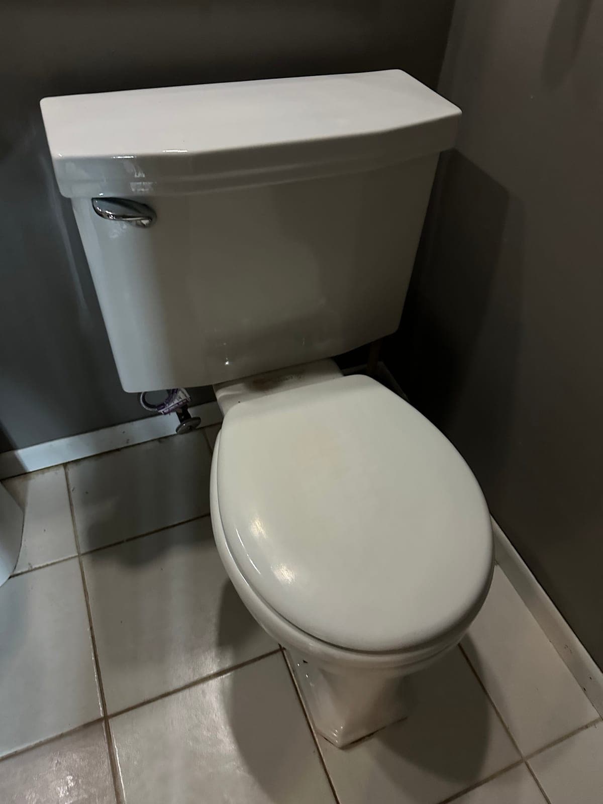 White Elongated Toilet