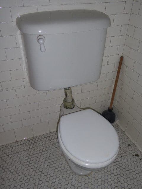 Vintage Crane Saneto Toilet