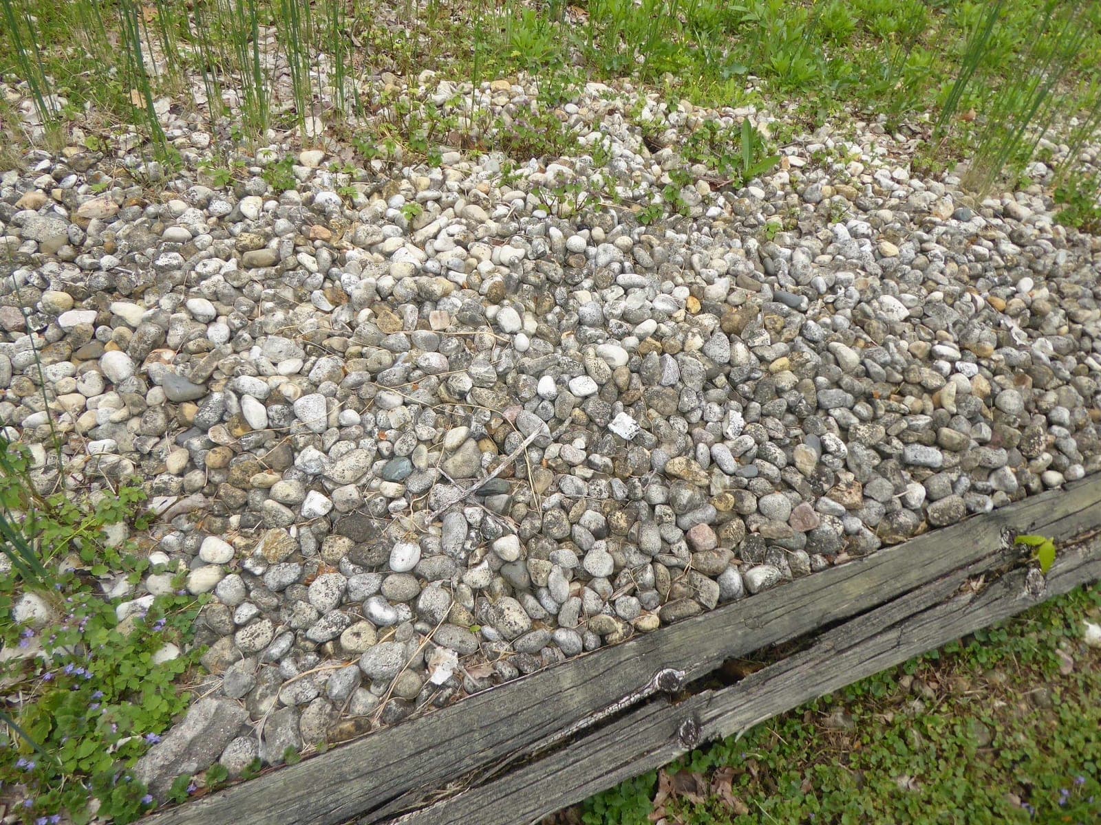 Large Gravel Stone