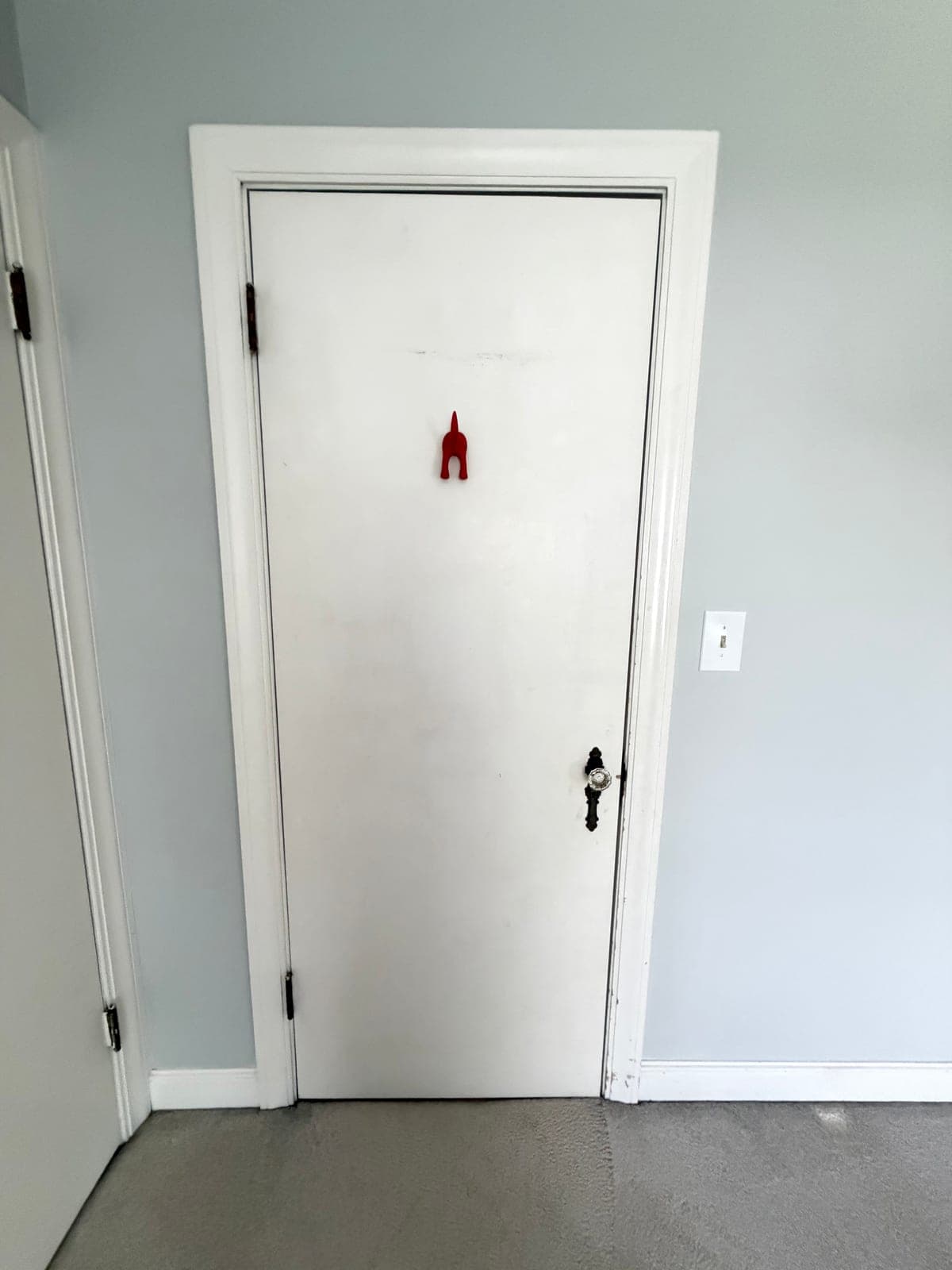 Solid Interior Door w/ Antique Ornate Knob & Escutcheon