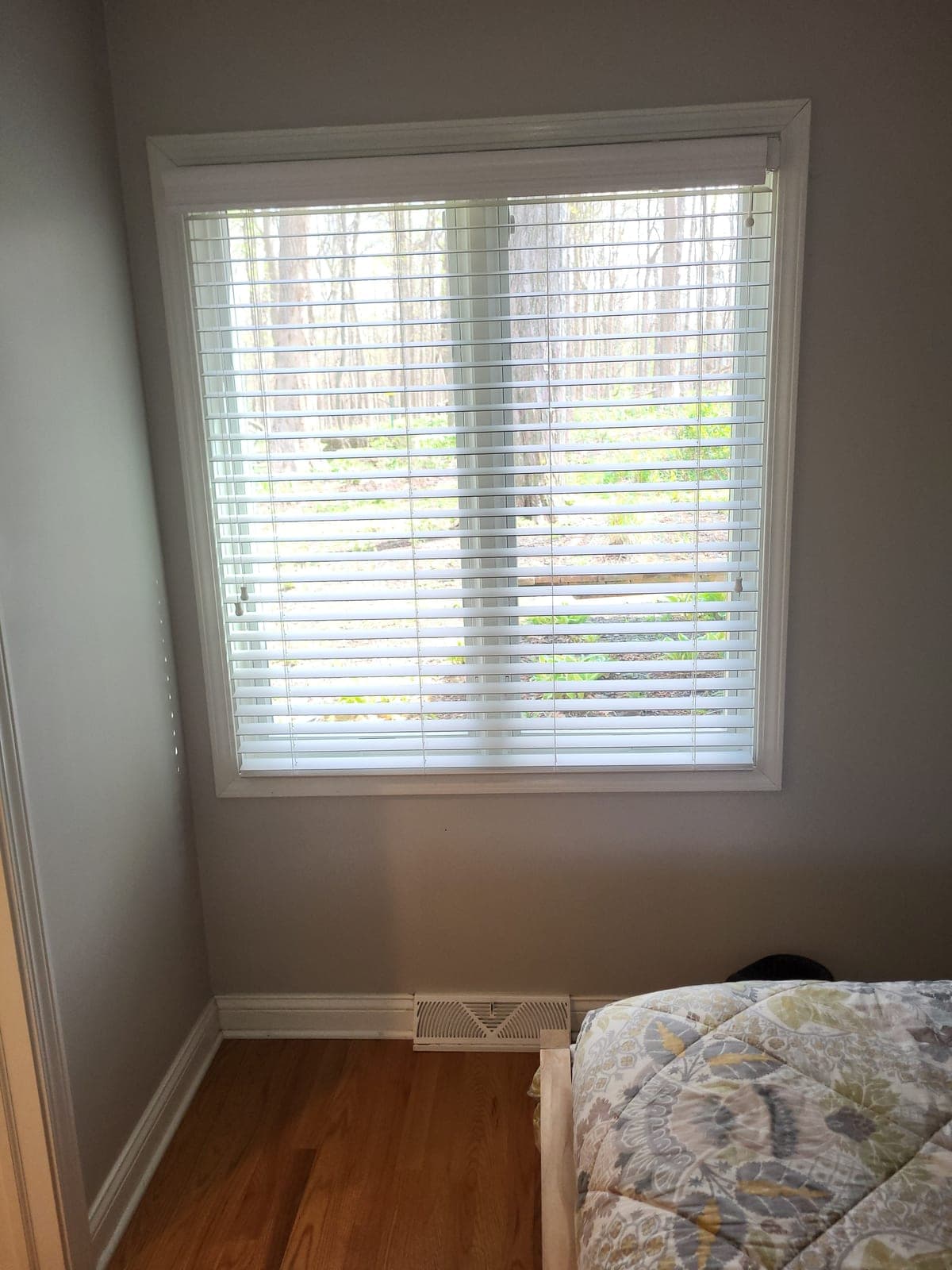Pella windows 48"W x 52"H (1) w/ blinds, Casement, Wood/Aluminum clad (Proline)