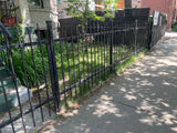 Wrought Iron Fence with Gate