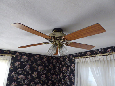 Ceiling Fan with Lights