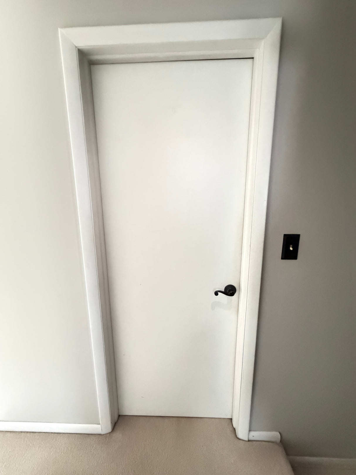 Solid Wood Interior Door, White, 30×80, w/ Bronze Lever Handle