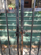Wrought Iron Fence with Gate