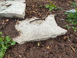 Large natural limestone/flagstone landscape slabs.