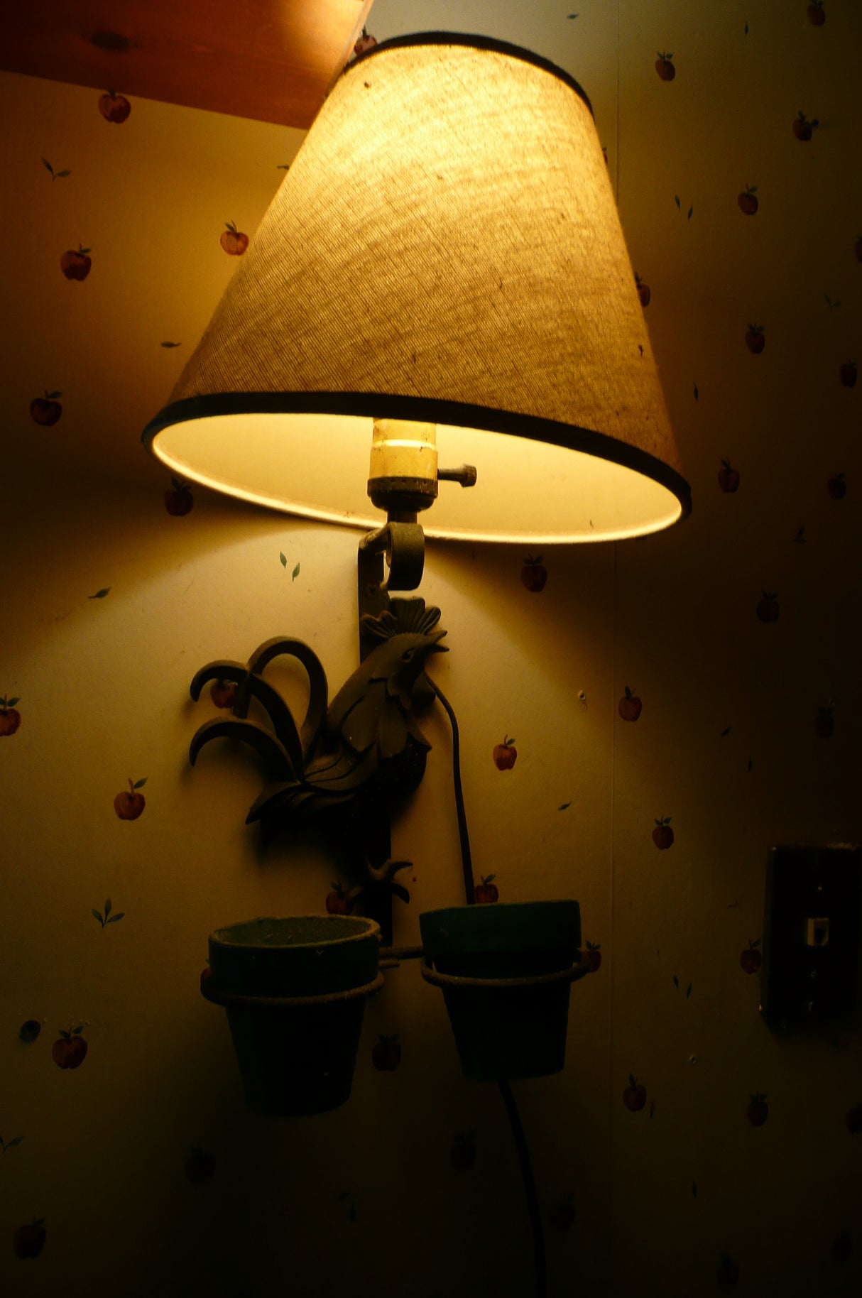 Vintage Chicken Wall Lamp with 2 Pot Hangers