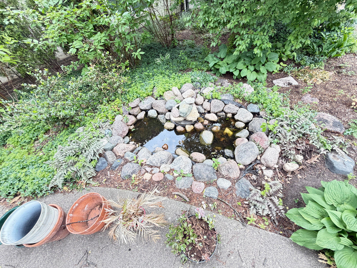 Decorative Garden Pond & Landscape Package